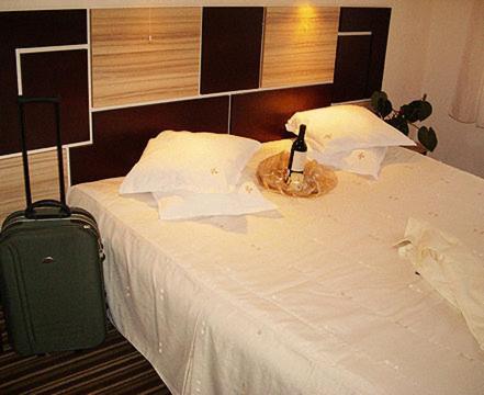 Hotel Orlando 3*